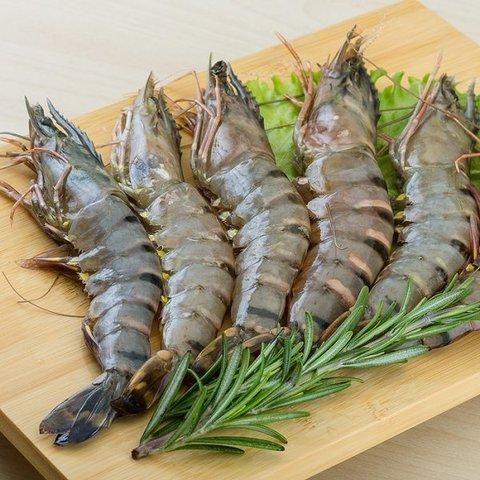Premium Frozen Black Tiger Shrimp, Giant Freshwater Prawn & Seafood – HACCP, GMP, ISO Certified - Image 7
